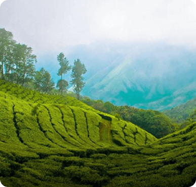 Munnar